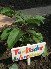 Schulgarten1_01