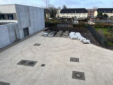 IMG_3590