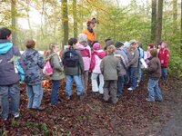 Waldjugendspiele 2008