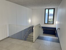 IMG_3592