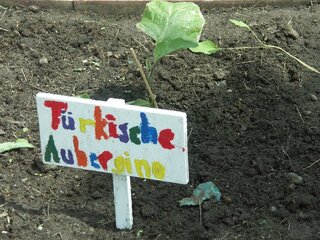 Schulfest_084