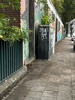 IMG_7054