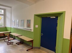IMG_8981
