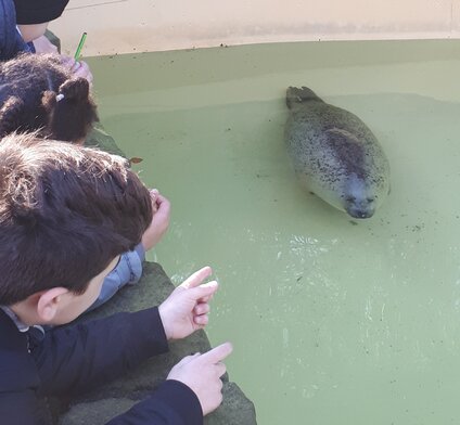 Zoo2