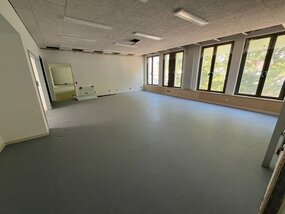 IMG_1433_01