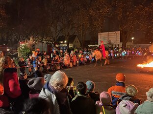 IMG_2267