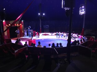 IMG_1846_1_