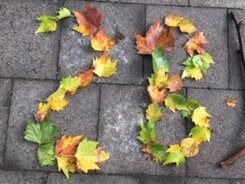 IMG_3810