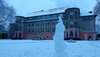 Image-11260