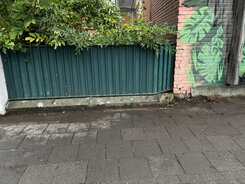 IMG_7047