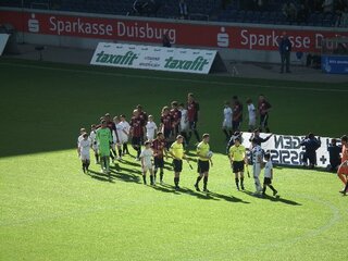 msv15