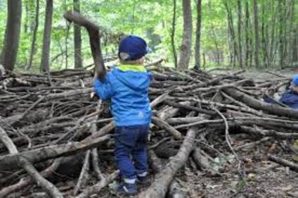 Wald