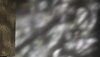 Image-10865