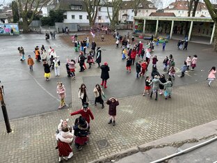 IMG_3603
