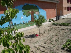Ein neuer Schulgarten entsteht