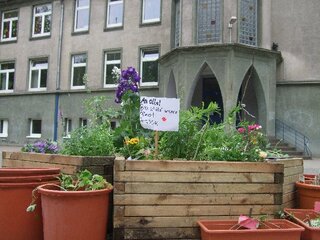 Schulgarten8_01
