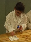 Experimente im Feuerland